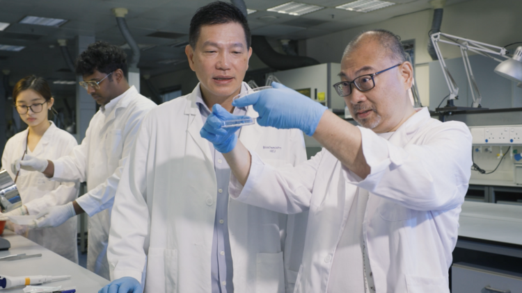Professor Billy Chow